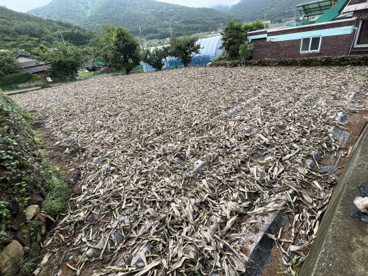 첨부파일1