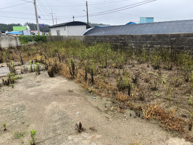 첨부파일1