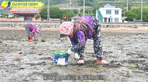 전남 진도군 죽림마을