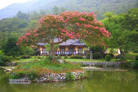 운림산방